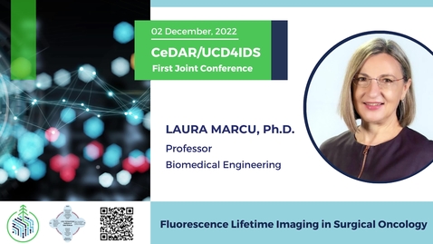 Thumbnail for entry Laura Marcu P.h.D. - Fluorescence Lifetime Imaging in Surgical Oncology