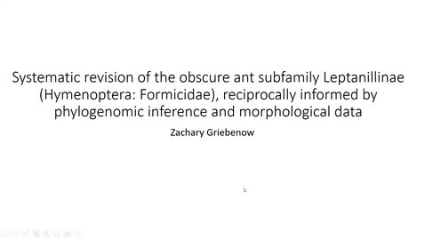 Thumbnail for entry Zachary Griebenow - Systematic Revision of the Obscure Ant Subfamily Leptanillinae (Hymenoptera: Formicidae), Reciprocally Informed by Phylogenomic Inference and Morphological Data