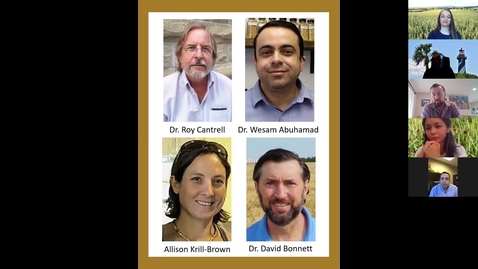 Thumbnail for WheatCAP Webinar Session One - Breeder Panel: Nuts-and-Bolts of Running Breeding Program