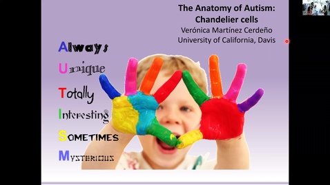 Thumbnail for CAMPOS Research Colloquium - Veronica Martinez-Cerdeno - October 5, 2022