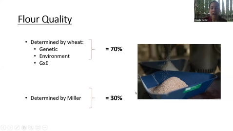 Thumbnail for Bread Wheat: Crop Origins and Cultural Uses Part 3