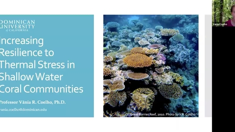 Thumbnail for entry BML - Dr. Vania Coelho: Increasing resilience to thermal stress in shallow water coral communities