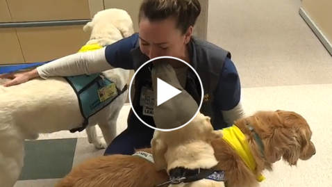 Thumbnail for Patient Impact of our Canine CARE Dogs