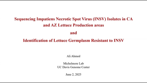 Thumbnail for Ali Ahmed - Sequencing Impatiens Necrotic Spot Virus (INSV) Isolates and Identification of Lettuce Germplasm Resistant to INSV