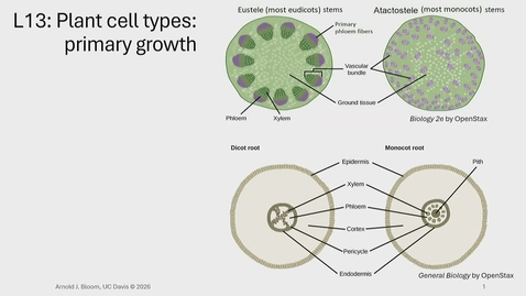 Thumbnail for BIO-003 Lecture 13: 2026-04-29 13:07