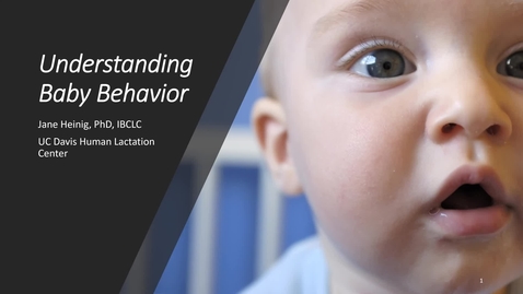 Thumbnail for Dr Jane Heinig Presents &quot;Understanding Your Baby&quot;