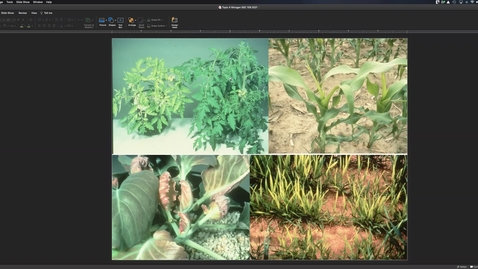 Thumbnail for Soil N CH4 (Part 2) Apr 26 Lecture