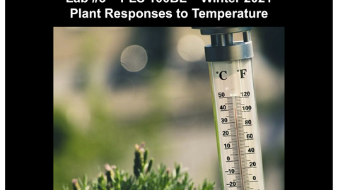 Thumbnail for entry PLS100BL Lab 3: Plant Responses to Temperature