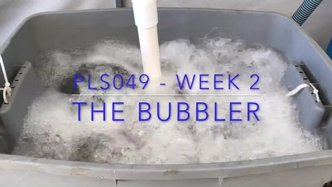 Thumbnail for PLS49: Week 9 - Washing lettuce with Kyle (2 min)