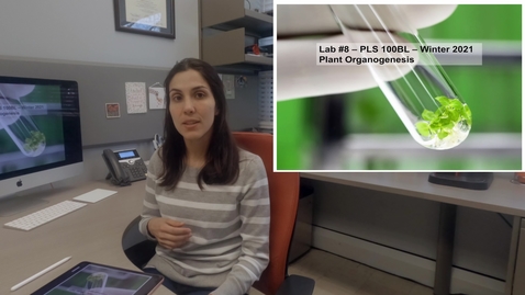 Thumbnail for PLS100BL Lab 8: Plant Organogenesis