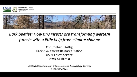 Thumbnail for 2-2-2023 Bark Beetles: How tiny insects are transforming western forests with a little help from climate change