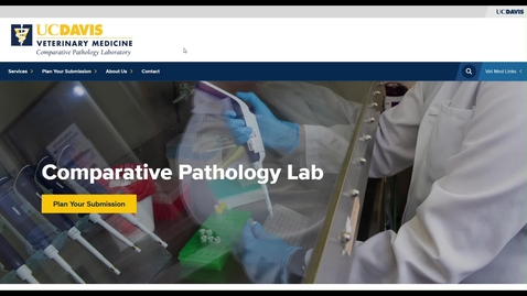 Thumbnail for CPL: Create your CPL Account Tutorial