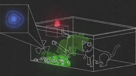 Thumbnail for Many Worlds Interpretation of Quantum Mechanics