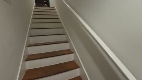 Thumbnail for Sabini_stomping-upstairs-Sydney-Edmunds_16
