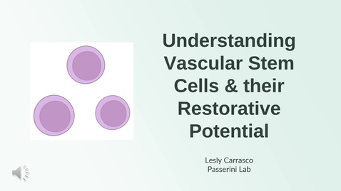 Thumbnail for entry Understanding Vascular Stem Cells &amp; their Restorative Potential