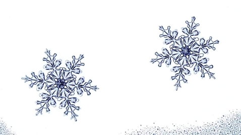 Thumbnail for entry The Snowflake Mystery