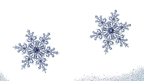Thumbnail for The Snowflake Mystery