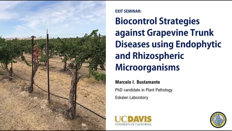 Thumbnail for entry Marcelo Bustamante Exit Seminar - Biocontrol Strategies against Grapevine Trunk Diseases using Endophytic and Rhizospheric Microorganisms