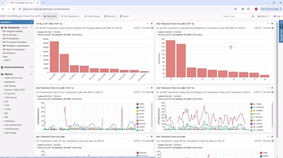 IMS - IBM Z IntelliMagic Vision for z/OS