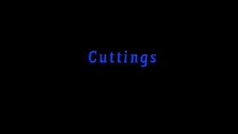Thumbnail for Cuttings with Dr. George Rogers