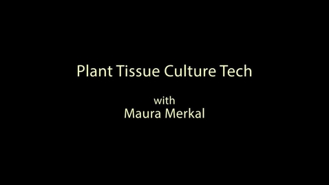 Thumbnail for entry Tech Week - Maura Merkal