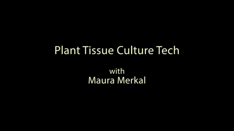 Thumbnail for Tech Week - Maura Merkal