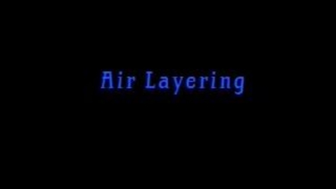 Thumbnail for Air Layering with Dr. George Rogers