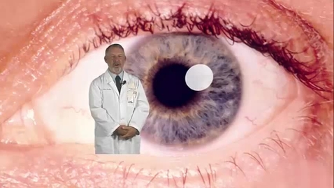 Thumbnail for entry EyeLearningObjectKERSHNER
