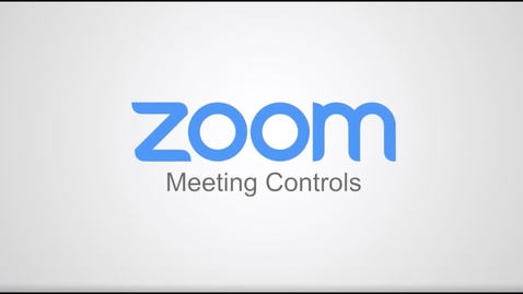 Thumbnail for entry Meeting Controls - Manage Participants in Zoom