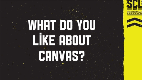 Thumbnail for entry What do you like about Canvas?