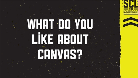 Thumbnail for What do you like about Canvas?