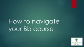 Blackboard Palm Beach State College Instructional