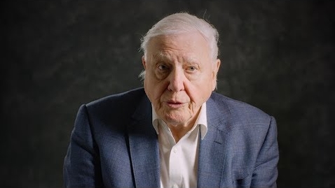 Thumbnail for David Attenborough Explains What We Need to Do to Stop Over-Fishing
