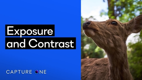 Thumbnail for Capture One 21 Tutorials | Exposure and Contrast