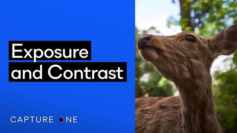 Thumbnail for entry Capture One 21 Tutorials | Exposure and Contrast