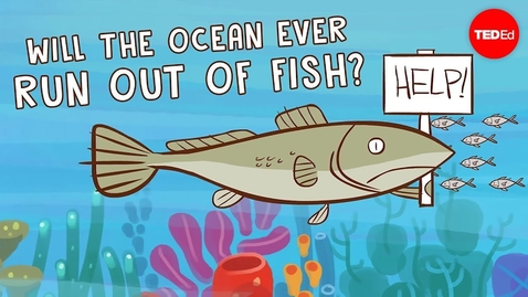 Thumbnail for entry Will the ocean ever run out of fish? - Ayana Elizabeth Johnson and Jennifer Jacquet
