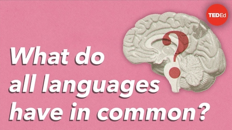 Thumbnail for entry What do all languages have in common? - Cameron Morin