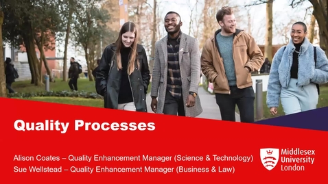 Thumbnail for Quality processes