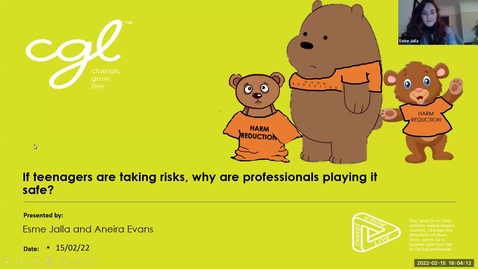 Thumbnail for DARC Webinar: Feb 2022 - If teenagers are taking risks why are professionals playing it safe?