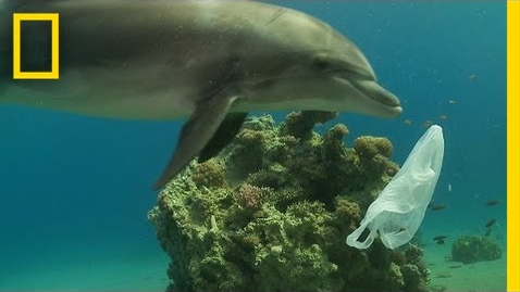 Thumbnail for entry How We Can Keep Plastics Out of Our Ocean | National Geographic