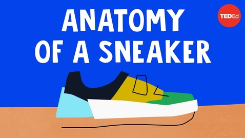 Thumbnail for entry The wildly complex anatomy of a sneaker - Angel Chang