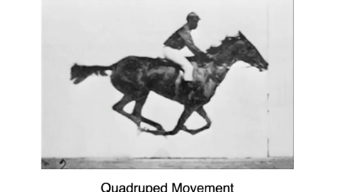 Thumbnail for entry Quadruped Walk brief &amp; lecture Tuesday 17th October with Steve May