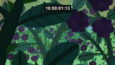 Thumbnail for ASTELY, BAKER, DAVIES - Little Kingdom - Full Sound Mix - 2009-2013 UK