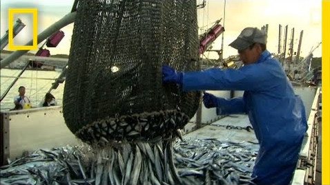 Thumbnail for How More Efficient Fishing Can Protect the Ocean | National Geographic