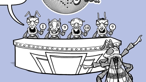 Thumbnail for Noam Chomsky on Language Aquisition