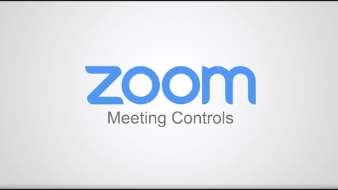 Thumbnail for entry Zoom Meeting Controls