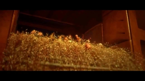 Thumbnail for UNKRICH, Lee -  Toy story 3 - The Furnace - 2010 USA