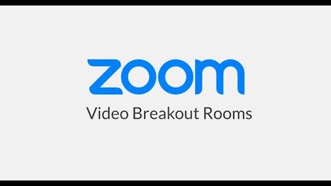 Thumbnail for Video Breakout Rooms Zoom