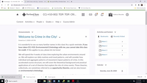 Thumbnail for Travel Log Overview