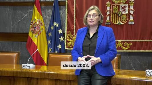 Vídeo declaración institucional de la Presidenta del Observatorio 25 noviembre de 2024